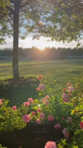 ~👼❤️‍🩹😩🤌!!. |#ytshorts |#music I #song|#subscribe|#vibes I #tamilsong|#divs_here