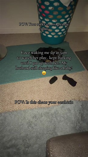 #cocochanel #teacupyorkie #xcyzba #bedtime #playtime