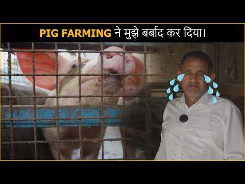 Pig Farming में पैसा नहीं, नुकसान क्यों? 🐖 ‪@BhartiyaKisaan_bk‬ | Pig Farming