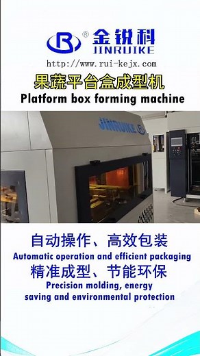 High-Efficiency Fruit and Vegetable Platform Box Forming Machine | Boost Your Production!