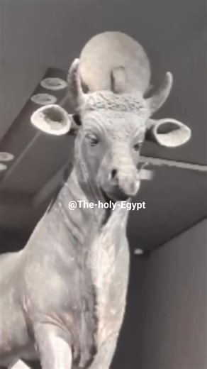 27K views · 690 reactions | The sacred bull Apis  was one of the...