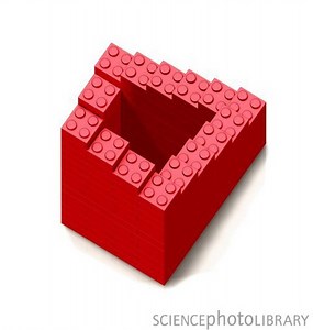 Auditory Illusions: A Virtual Barbershop and the McGurk Effect