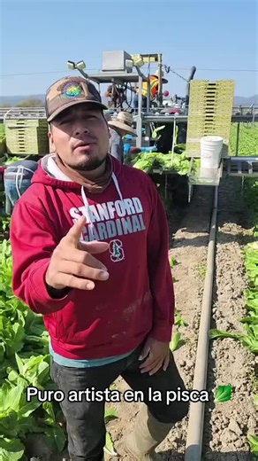 #fyp #fypシ #viral #fypシ゚viral #fy #mexico🇲🇽 #foryoupage #viraltiktok #foryou #parati #visa #sueñoamericano