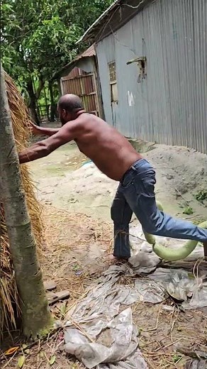 Angry Dad EPIC Reaction to a Fake King Cobra Snake Prank!