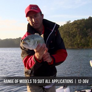 1.2K views · 256 reactions | Motorguide is raising the bar for electric motors and Lee Rayner is loving the quiet, long lasting battery savings on offer. With full connectivity to Vessel View, Simrad and Lowrance there is no better time to add this innovative new tech to your fishing rig. Product is now in stock from your local Mercury Dealership so act now to take your fishing to a new level with motorguide. #fishing #motors #technology #GPS #boating | Mercury Marine Australia | Facebook