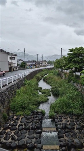 Day 69 - Walking across Japan for basic income 69日目 - ベーシックインカムを求めて日本中を歩く
