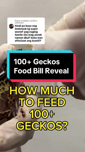 How Much Does It Cost to Care for a Leopard Gecko? Monthly Expenses Revealed!