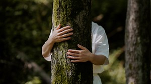 No one to hug on Valentine's Day? Try hugging trees!