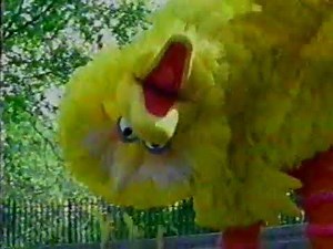 PBS Kids Program Break (2005 WBGU)