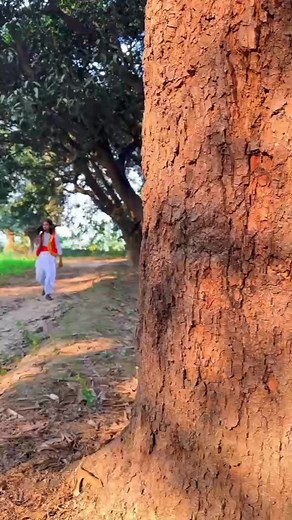 22K views · 841 reactions | Aladdin Ep 1 吏‍♂️ #aladdin...