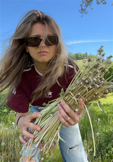 Dandelion Stem Spaghetti: A Surprisingly Delicious Forage