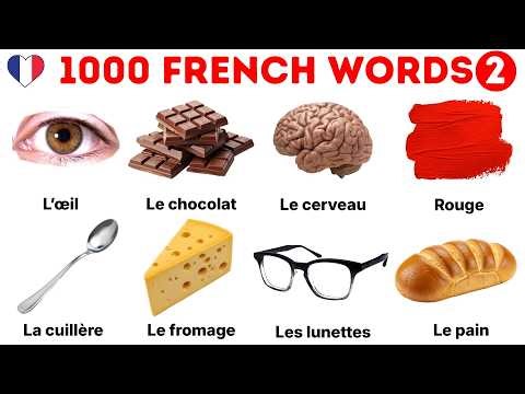 1000 French Words | Learn Basic French Words | French Vocabulary | Learn French For Beginners