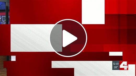 St. Louis releases report on Guaranteed Basic Income Program - NewsBreak