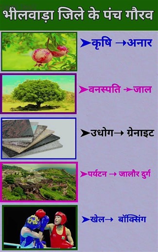 panch Gaurav district of Bhilwara#rajasthanklasanskrti #rajasthangk #popular