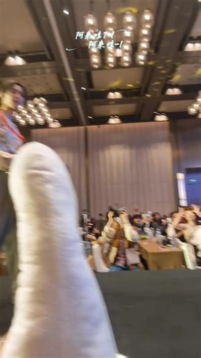 这次是幸运鹅（被套的那个）请原谅我的无敌（烟嗓）惊呼，因为他俩真的是在拿圈砸我的感觉！#poohpavel @ppoohkt @pavelphoom