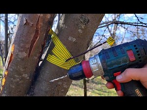 Altoirea cu burghiul! Adevar sau minciuna?