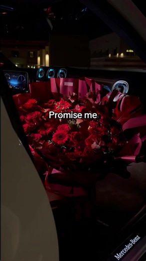 Promise Me lyrics – English translation and meaning