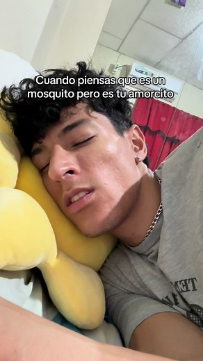 El Amor y los Mosquitos en TikTok
