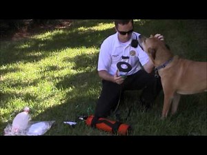 Surgivet Pet Oxygen Mask