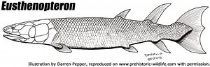 Eusthenopteron - Alchetron, The Free Social Encyclopedia