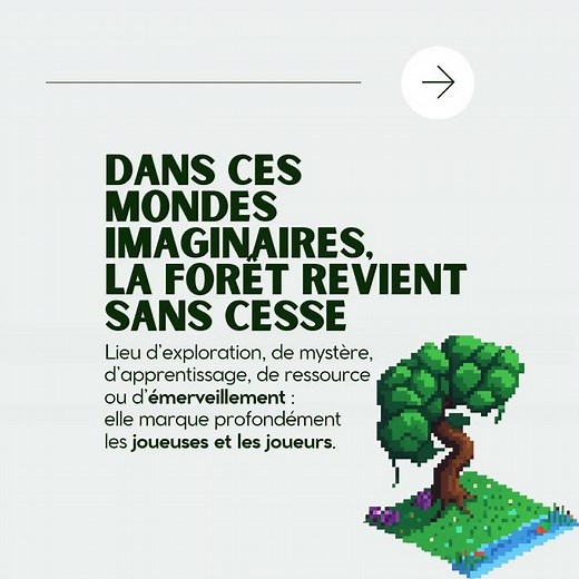Forêts et Jeux Vidéos : une exploration de l’Association Francis Hallé pour la forêt primaire