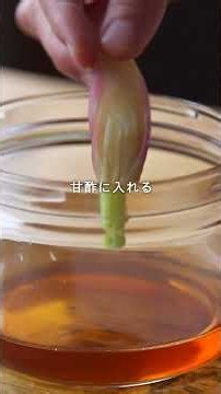 『みょうがの甘酢漬け』のレシピ・作り方 #shorts #料理 #cooking #簡単レシピ #夏 #みょうが