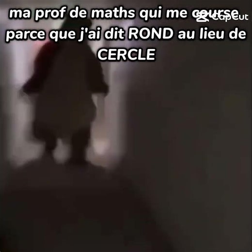 pov le prof de math me course car j'ai dit rond au lieu de cercle