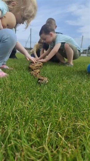 Kids Excitedly Pet Non-Venomous Python at Event