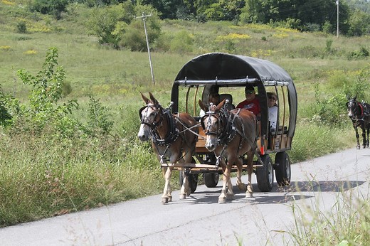 124K views · 4.3K reactions | Today was the first day of the Ameican...