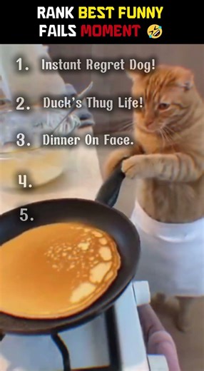 Rank # Funny Fails #shorts 2026 #funny #pets