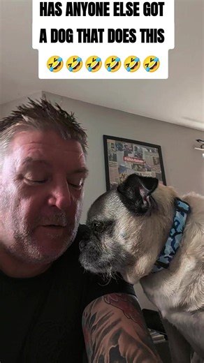 Dog Does This Funny Behavior — Has Anyone Else Got a Dog That Does This?