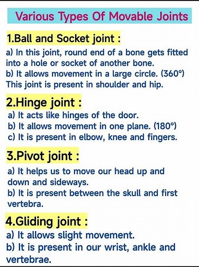 Types Of Movable Joints In Human Body ✨ | Joints | Human Body Parts #movablejoints #shorts