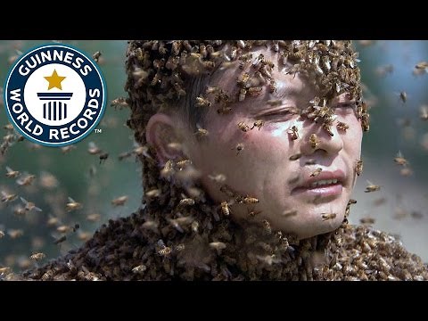 Heaviest mantle of bees - Guinness World Records