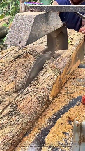 Cutting Through Wood: The Art of Precision Logging