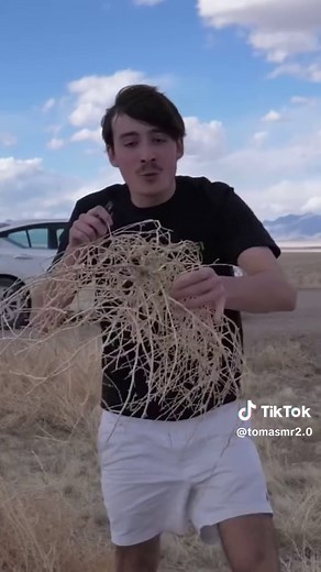 ASMR IN AREA 51 #tomasmr #asmr #relax #sleep #area51 #tinglesounds #asmrvideo