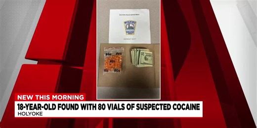 Holyoke investigations lead to over a dozen arrests