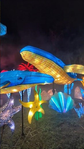 Whales, Coral & Starfish at Asian Lantern Festival Central Florida Zoo & Botanical Gardens! Sanford