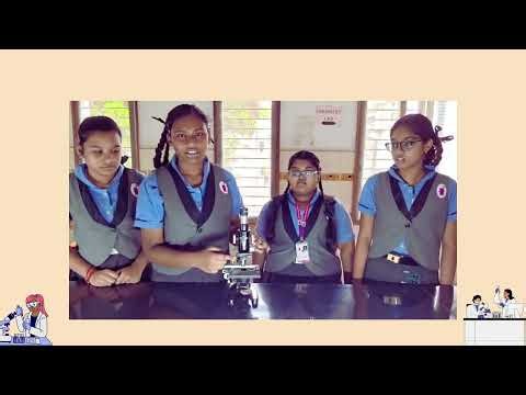 Exploring the Microscopic World | Grade VIII Compound Microscope Lab Activity