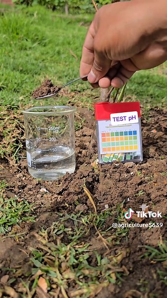 How to Measure Soil pH for Healthy Crops