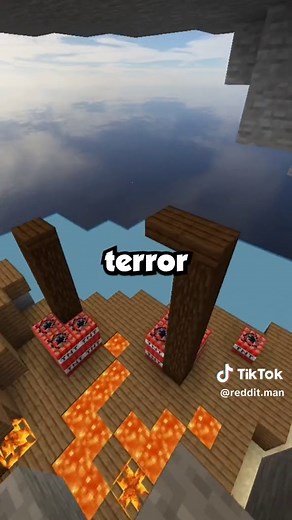 Reddit guy on TikTok