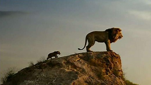 ‘Lion King’ vs ‘Kimba’: How Disney’s live-action release brings up old controversy: report