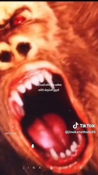 Exploring the Teachings of Lord Buddha