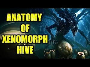Xenomorph Hive Anatomy Explored – Do They Have Societal & Respect Structures Like Ants?