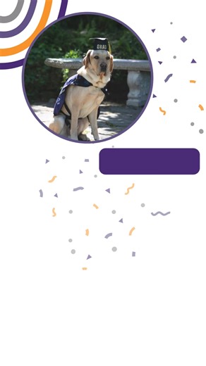 2.9K views · 81 reactions | NSD is proud to announce our newest...