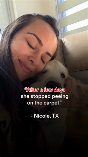 The Settled Pet on Instagram: "Hate the look your dog gives you when you grab your keys? That guilt follows you to work, making you wonder if they’re pacing or crying all day. Plug in The Settled Diffuser. It releases calming pheromones to help them relax instantly, so you can leave guilt-free. (Link In Bio) #doganxietyhelp #doganxiety #petanxiety"