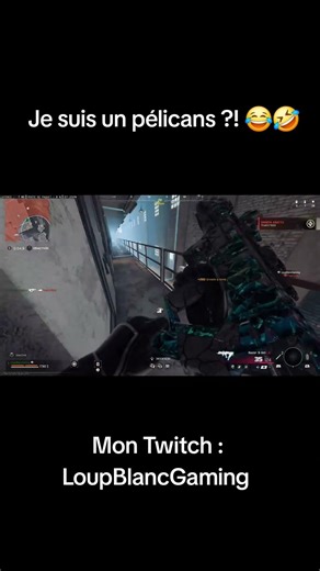 Do I look like a pelican?! 😂 #fr #loupblancgaming #ps5 #warzone #twitch