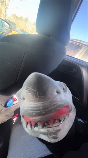 Shark Puppet (@sharkpuppet2025)’s videos with original sound - Shark Puppet