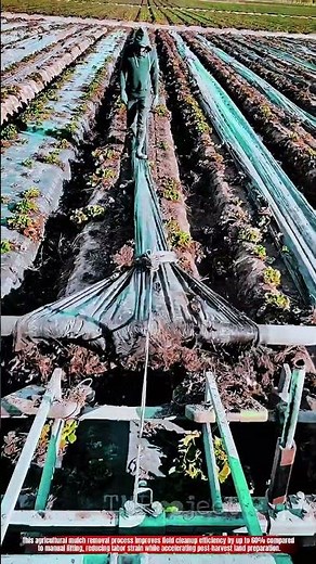 Innovative Agricultural Mulch Removal Process: Best Efficient Field Cleanup