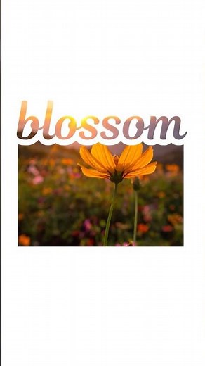 Easy Canva Trick to Blend Two Images Like a Pro #canva #canvatutorial Tutorial #canvatips