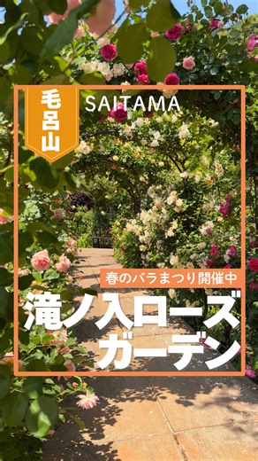 滝ノ入ローズガーデン 春のバラまつり